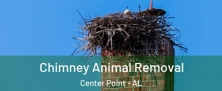 Chimney Animal Removal Center Point - AL